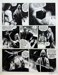 Comic Strip - Thorgal - Au-delà des Ombres (T.5)